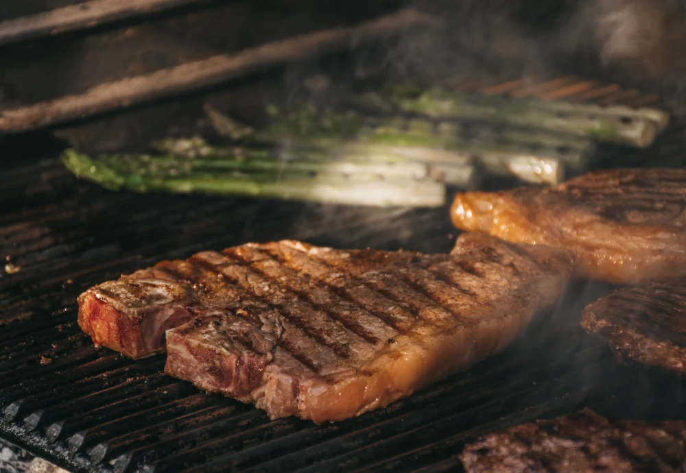 backyard pro grill and smoker